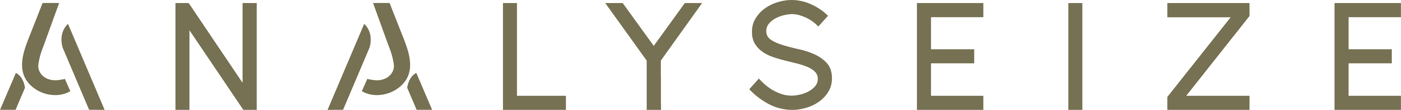 Analyseize Research & Insight Group